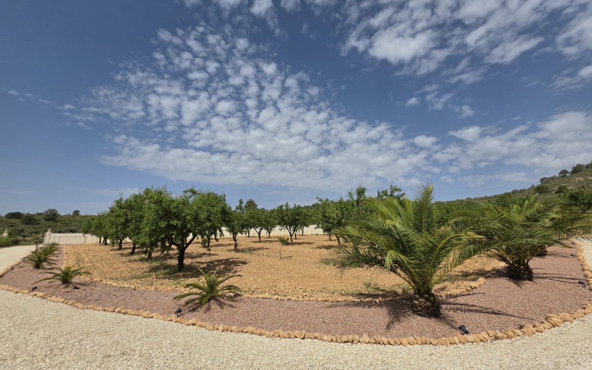 A Vendre - Villa - Pinoso - Pinoso Centro