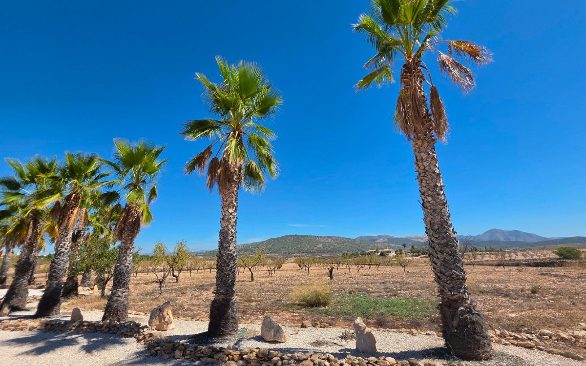 A Vendre - Villa - Pinoso - Pinoso Centro