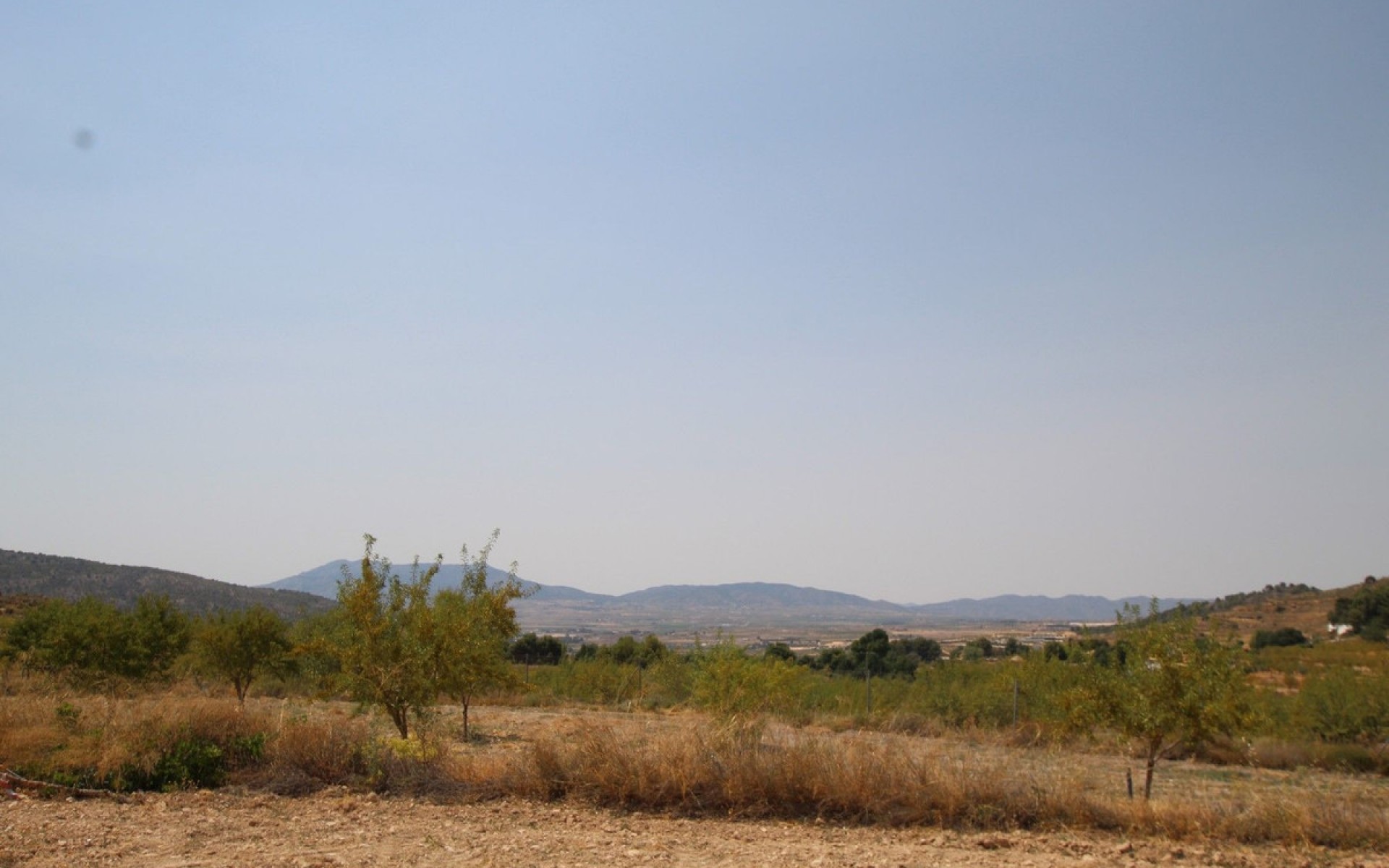 A Vendre - Villa - Pinoso - Pinoso Centro