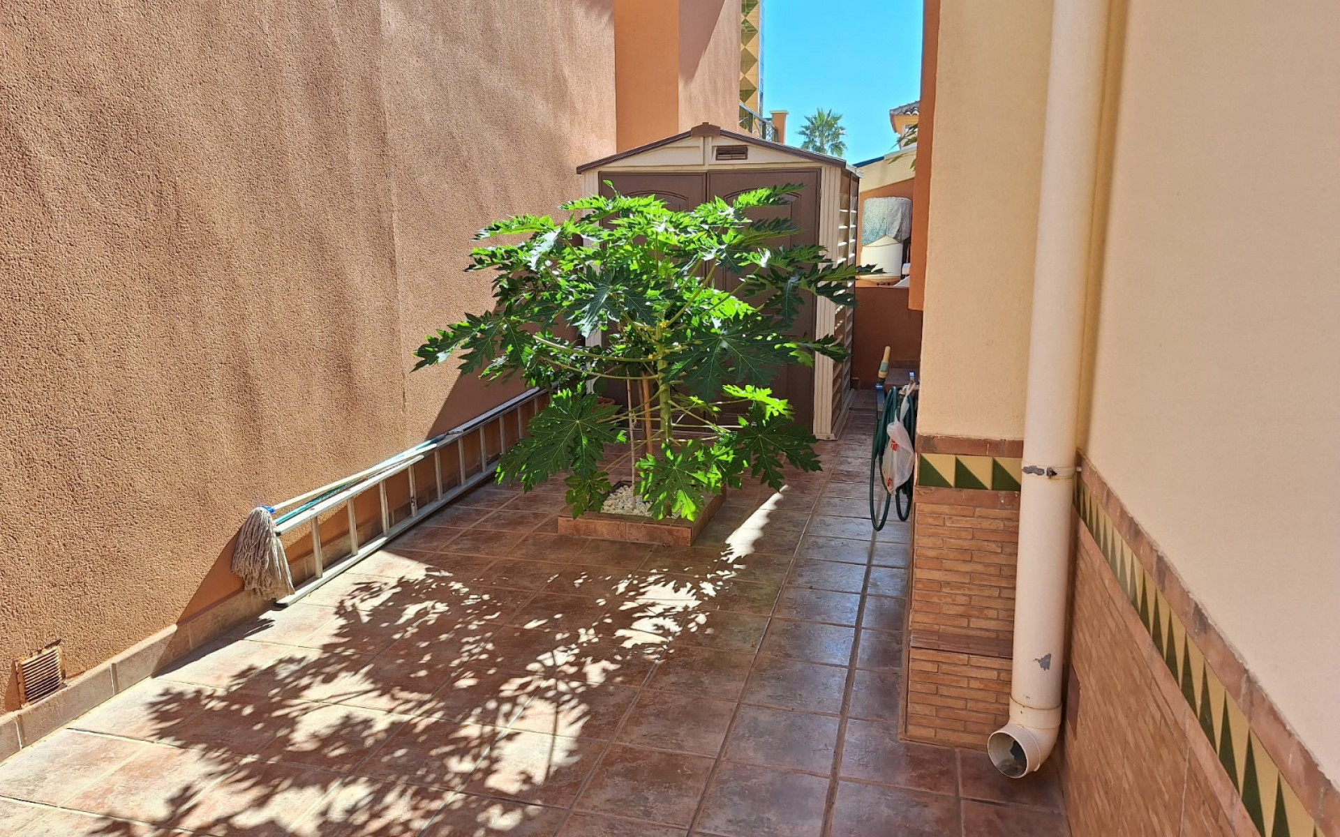 A Vendre - Villa - Playa Flamenca - Villas San Luis