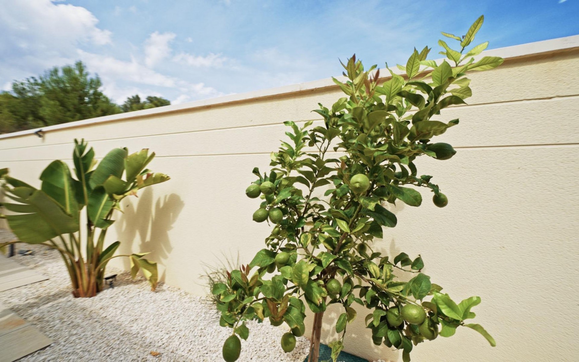 A Vendre - Villa - Polop - Polop Centro