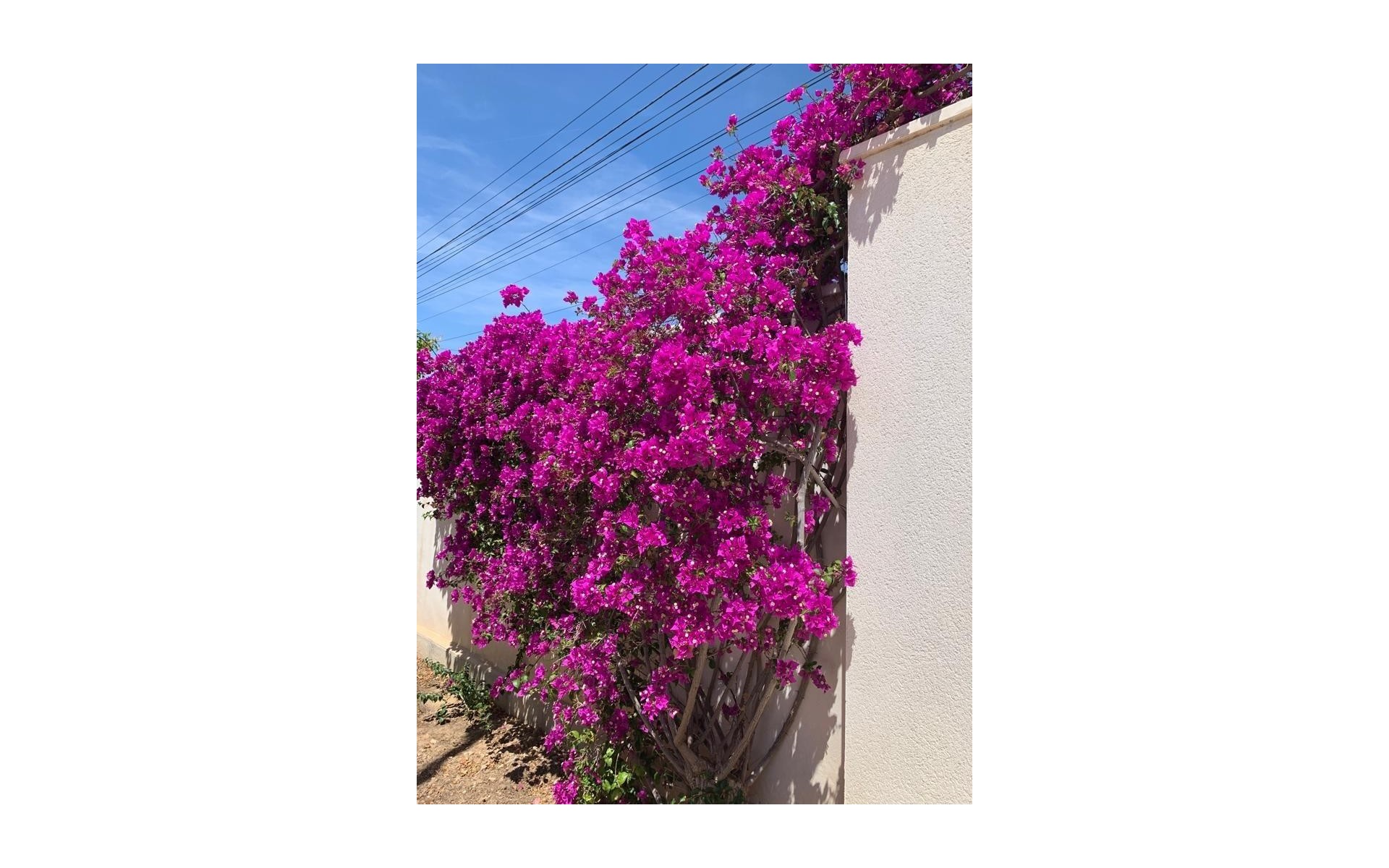 A Vendre - Villa - Rojales - Ciudad Quesada