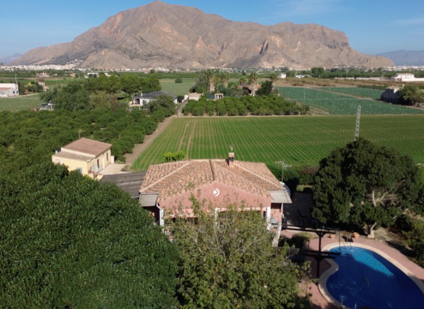 A Vendre - Villa - San Bartolome