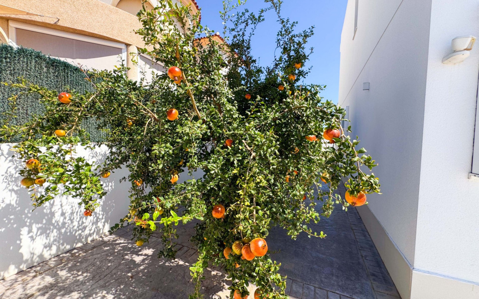 A Vendre - Villa - San Fulgencio - San Fulgencio Centro