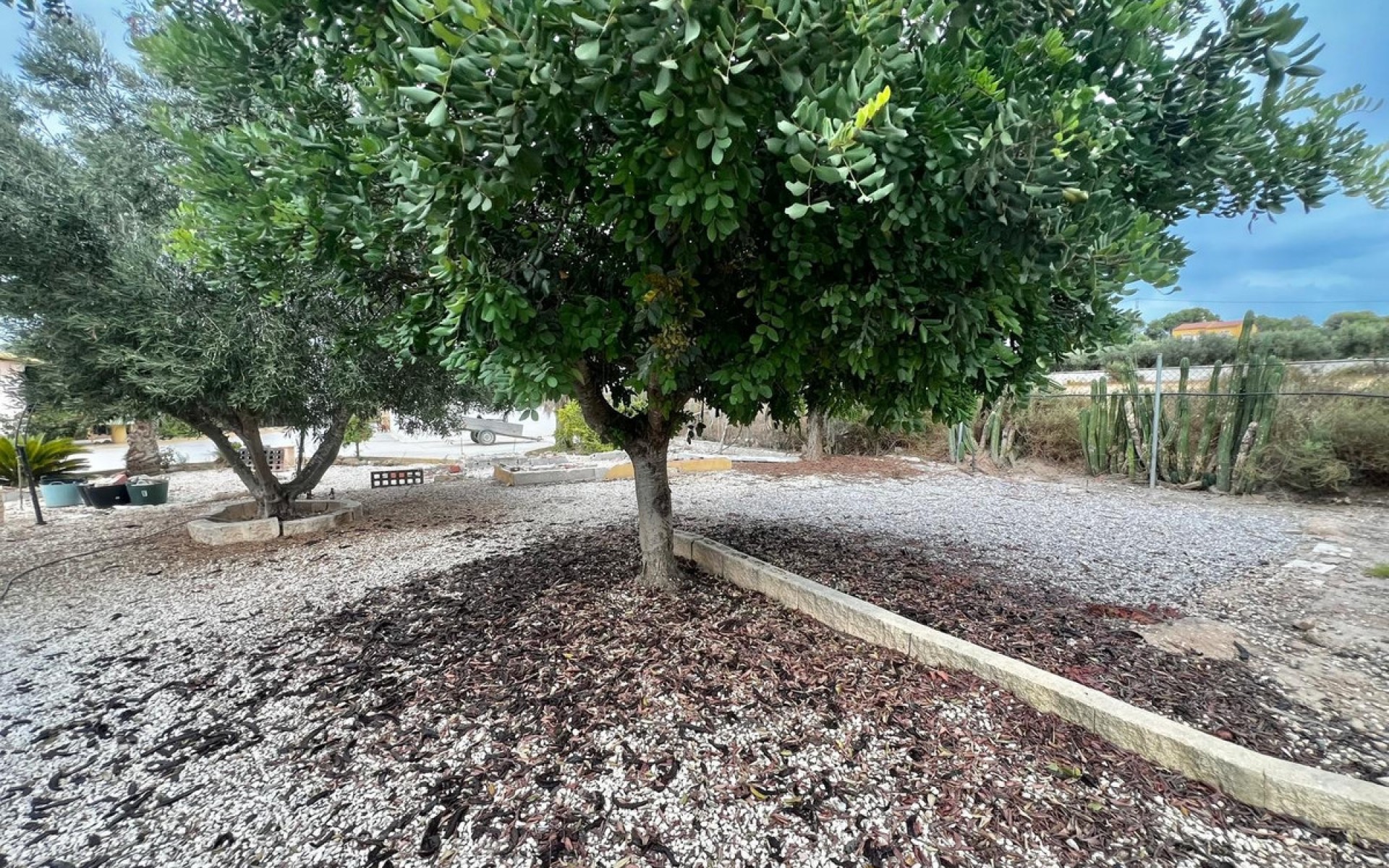 A Vendre - Villa - San Fulgencio - San Fulgencio Centro