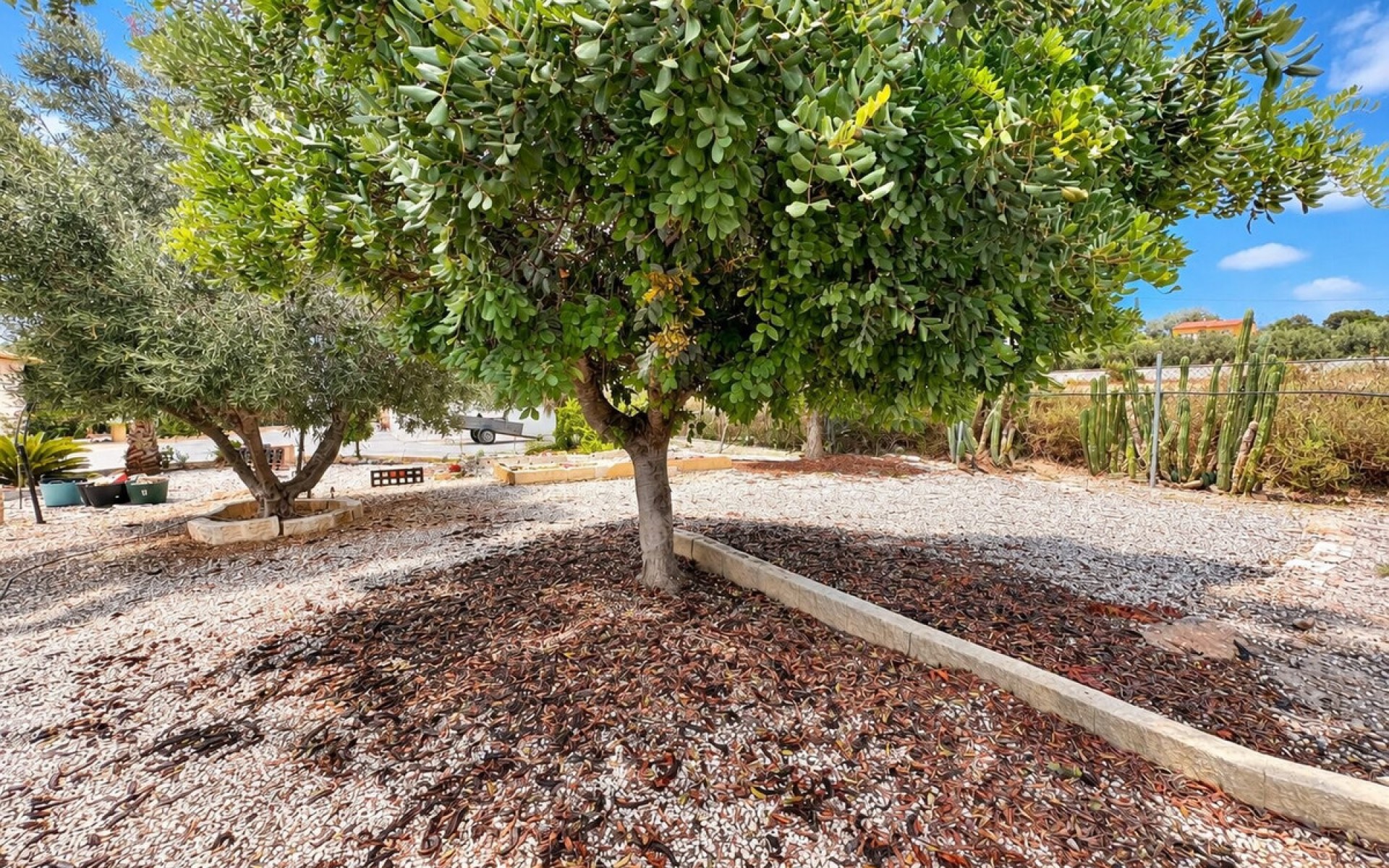 A Vendre - Villa - San Fulgencio - San Fulgencio Centro