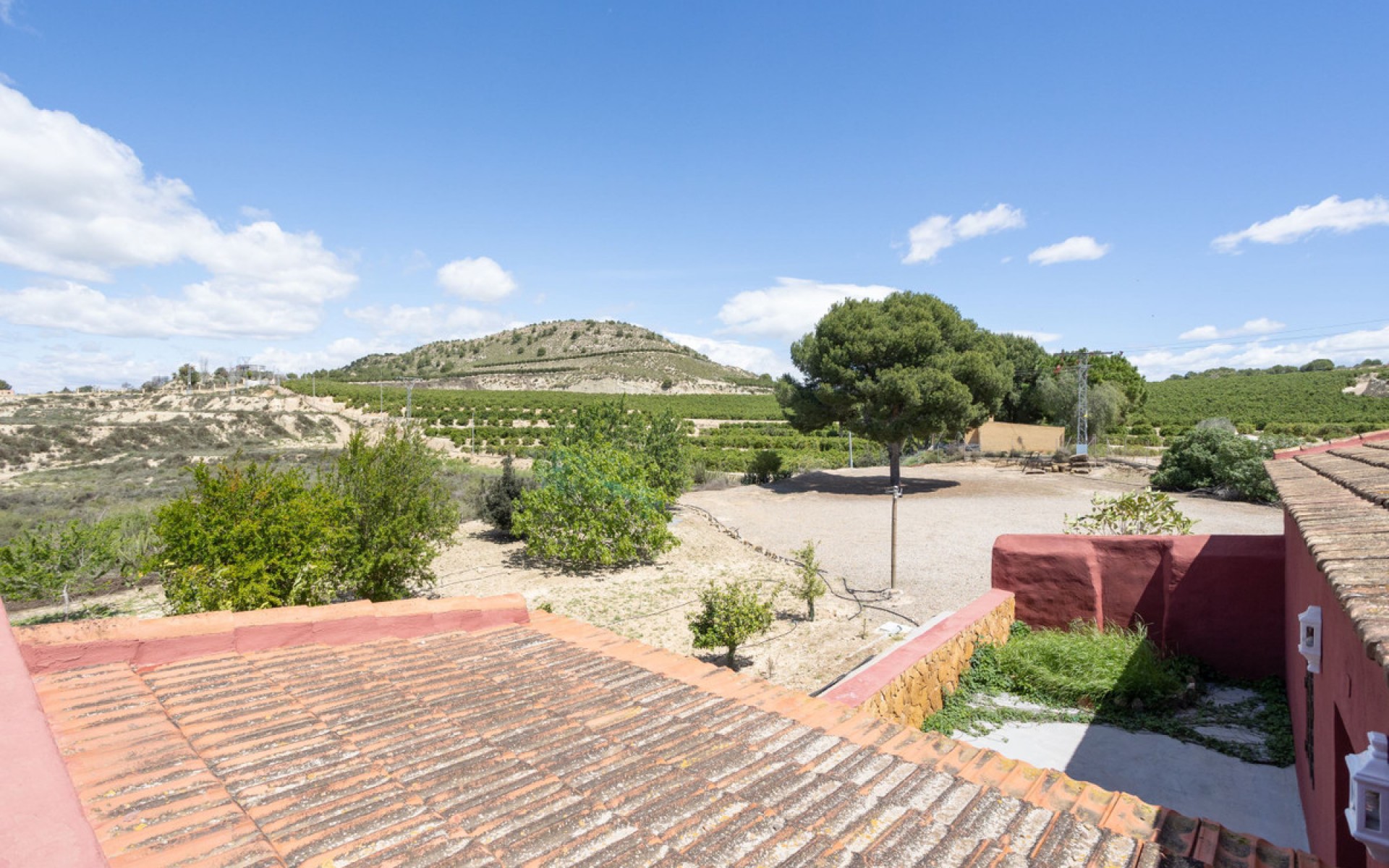 A Vendre - Villa - San Miguel De Salinas - San Miguel de Salinas Centro