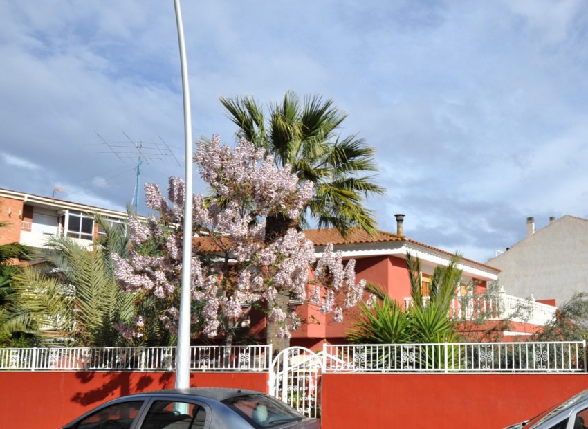 A Vendre - Villa - Sax - Sax Centro