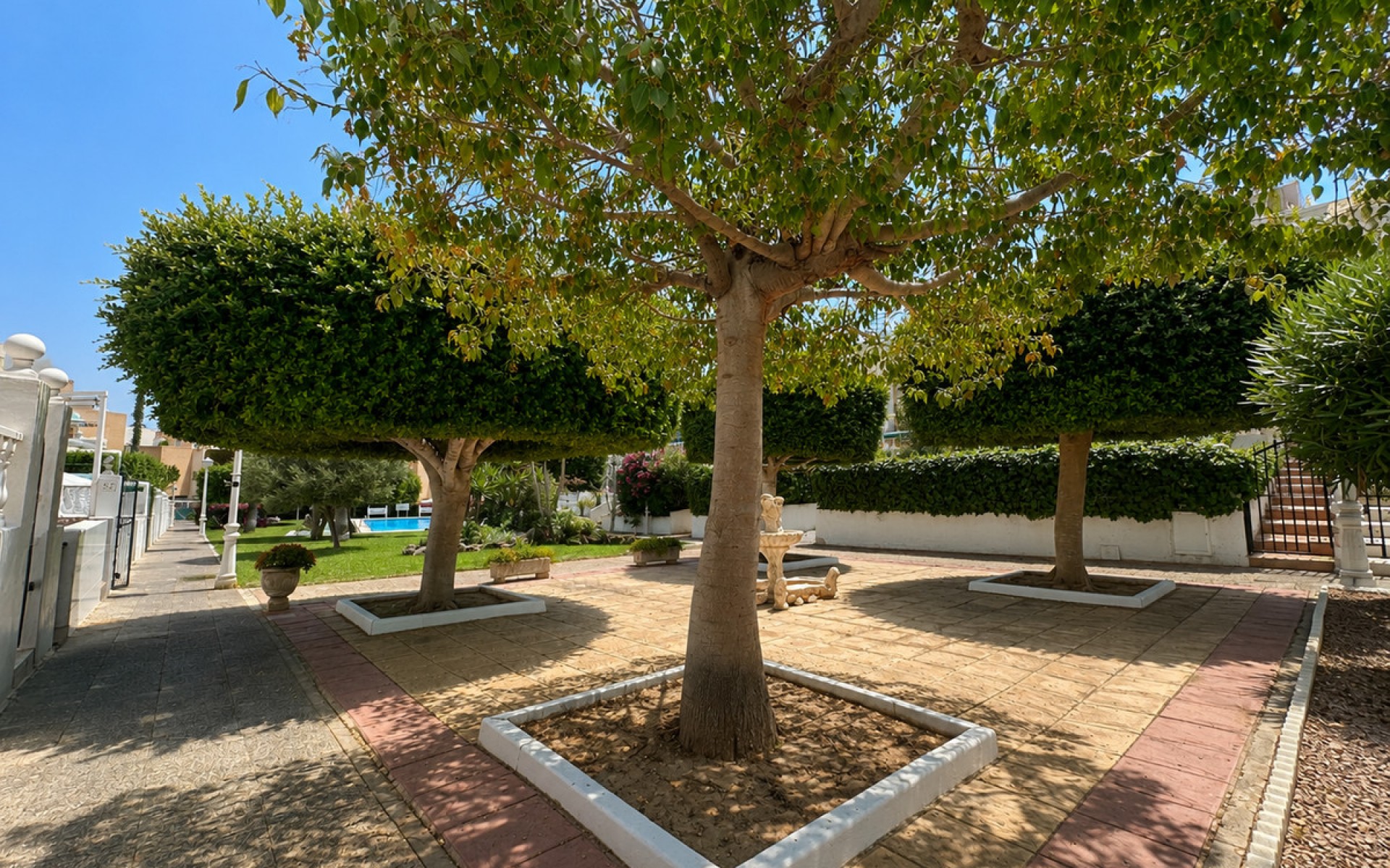 A Vendre - Villa - Torrevieja - La Mata