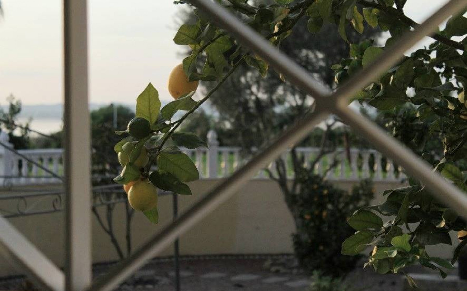 A Vendre - Villa - Torrevieja - La Siesta