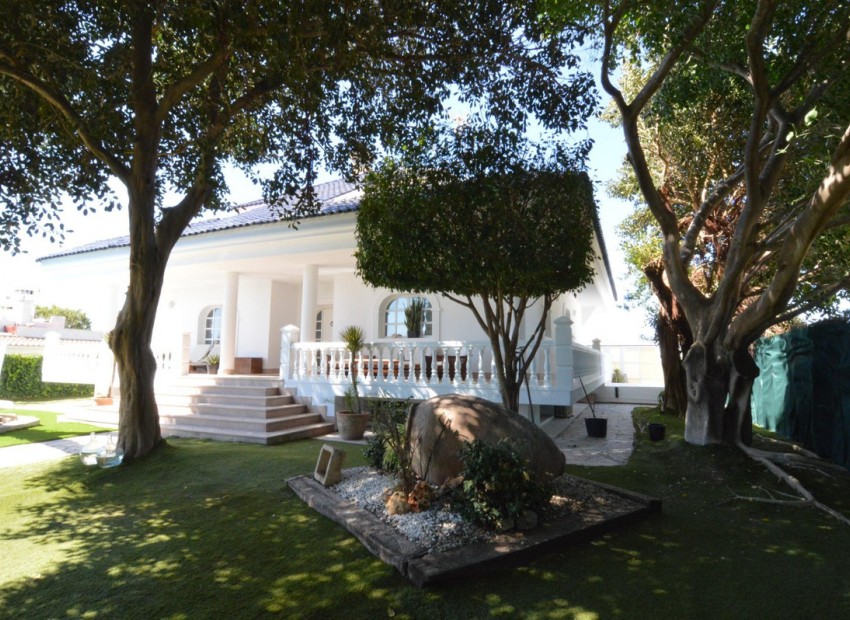 A Vendre - Villa - Torrevieja - Torrevieja Centro