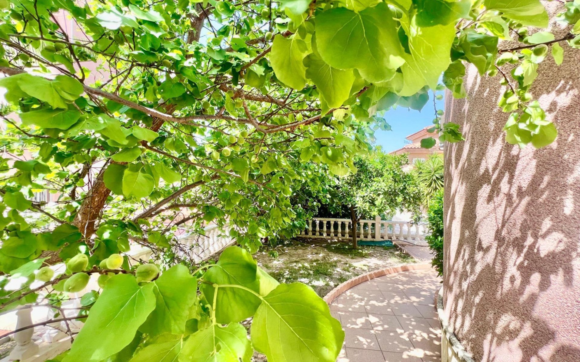 A Vendre - Villa - Torrevieja - Torrevieja Centro