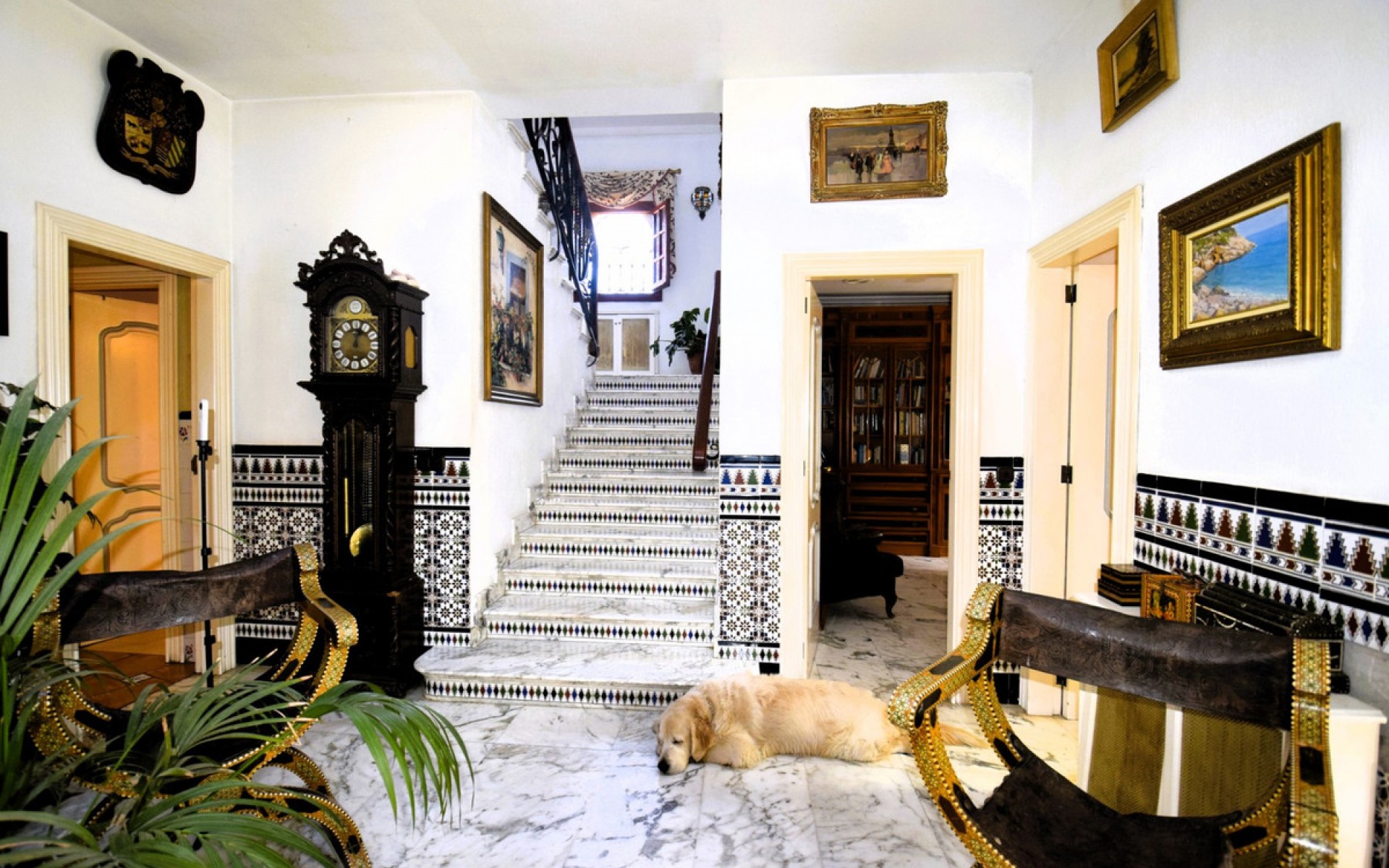 A Vendre - Villa - Torrevieja - Torrevieja Centro