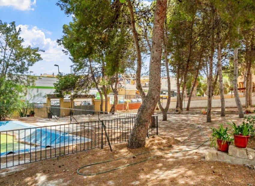A Vendre - Villa - Torrevieja - Torrevieja Centro