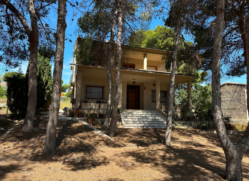 A Vendre - Villa - Torrevieja - Torrevieja Centro