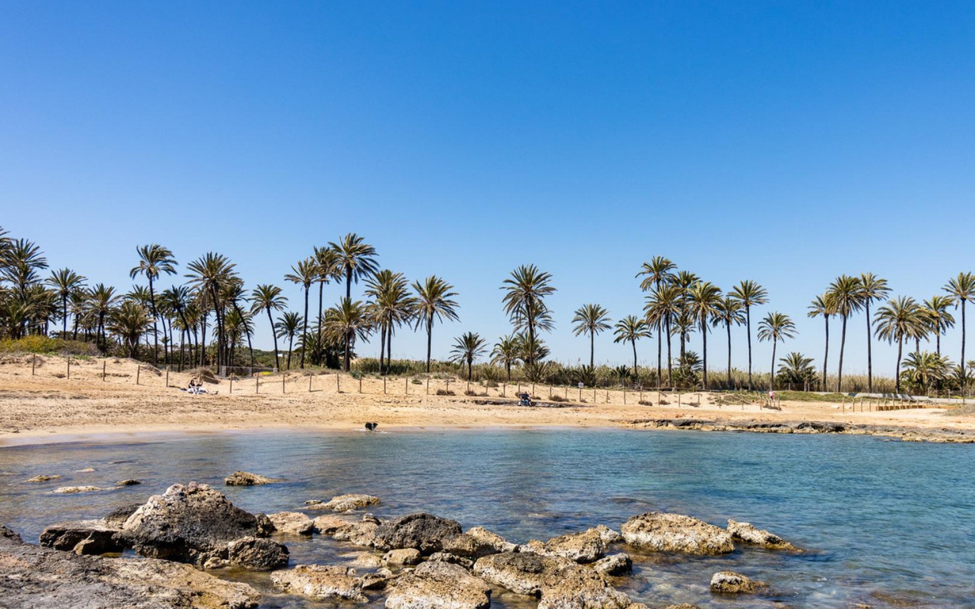 A Vendre - Villa - Torrevieja - Torrevieja Centro