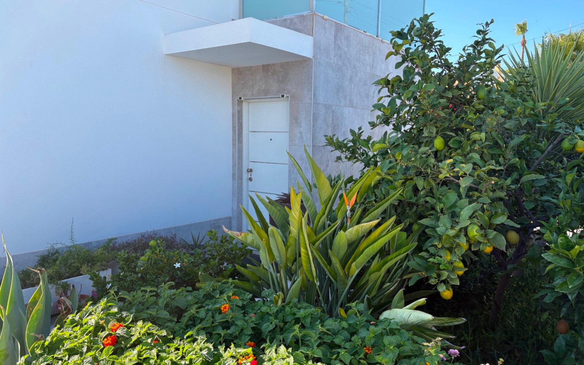 A Vendre - Villa - Torrevieja - Torrevieja Centro