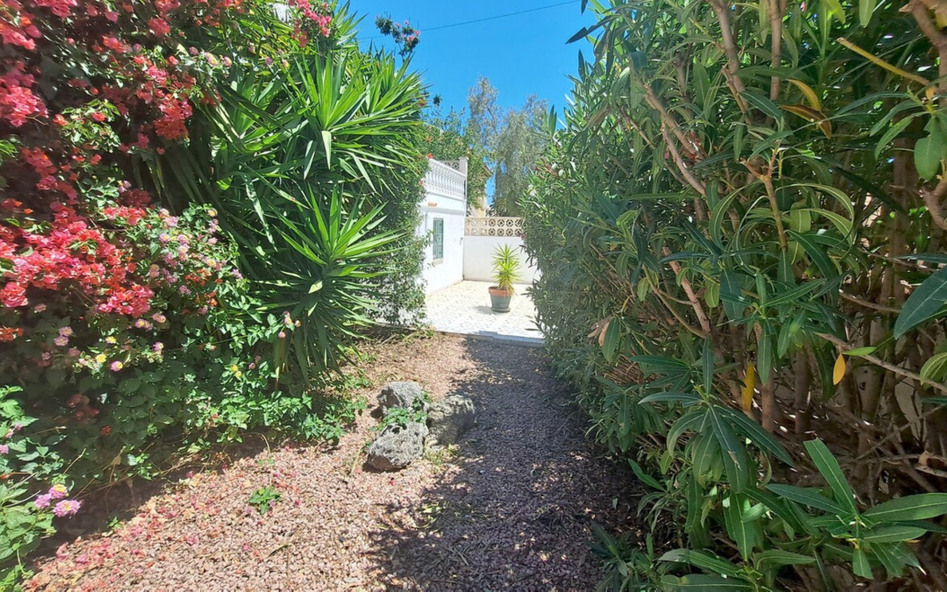 A Vendre - Villa - Villamartin - Blue Lagoon