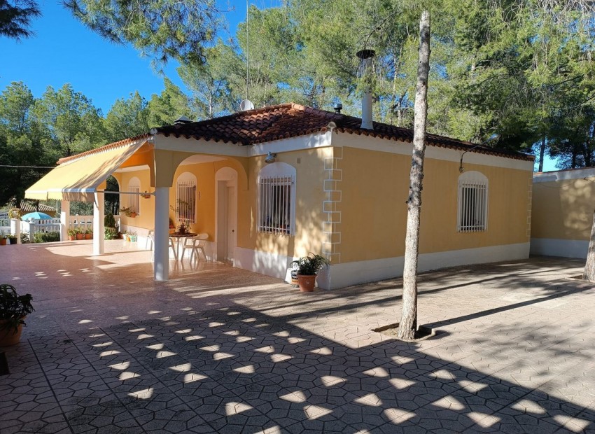 A Vendre - Villa - Yecla - Yecla Centro