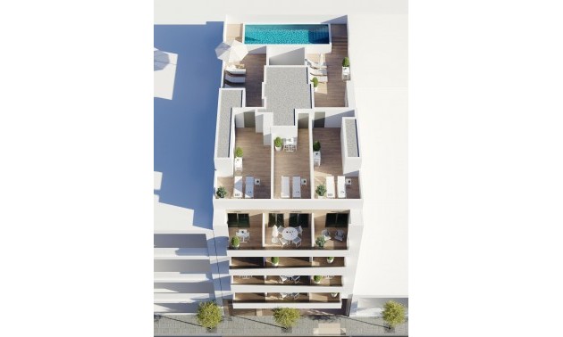 Apartment - New Build - Torrevieja - CSPN-46213