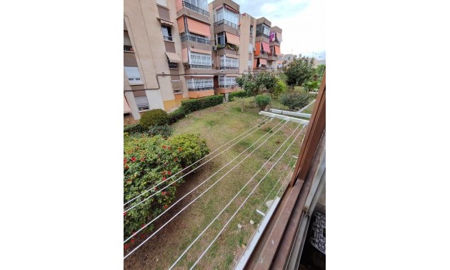 Apartment - Resale - Alicante - Alicante Centro