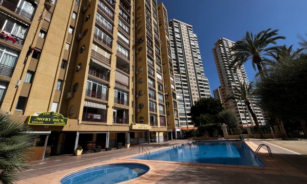 Apartment - Resale - Benidorm - Benidorm Centro