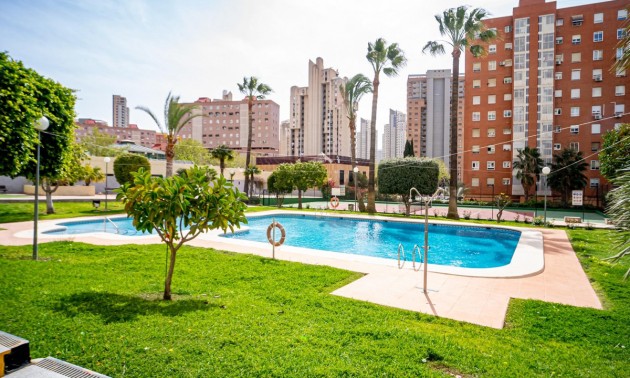 Apartment - Resale - Benidorm - CSPX-25130