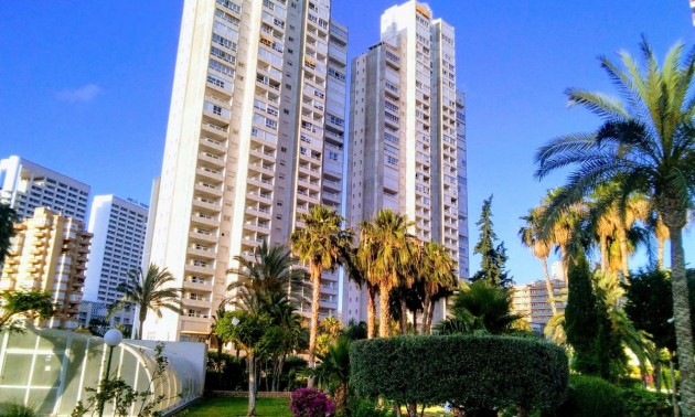 Apartment - Resale - Benidorm - CSPX-52960