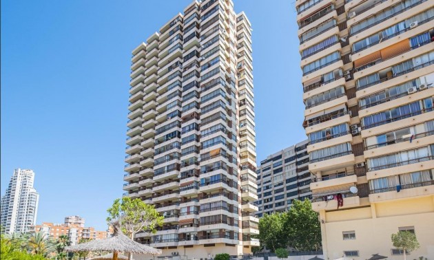 Apartment - Resale - Benidorm - CSPX-92902