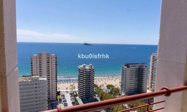 Apartment - Resale - Benidorm - CSPX-99021