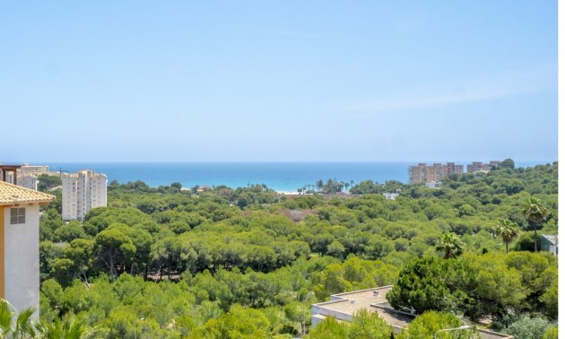 Apartment - Resale - Campoamor - Dehesa de Campoamor