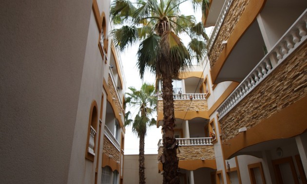 Apartment - Resale - Formentera Del Segura - Formentera del Segura Centro