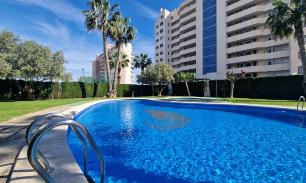 Apartment - Resale - Guardamar Del Segura - CSPG-40324