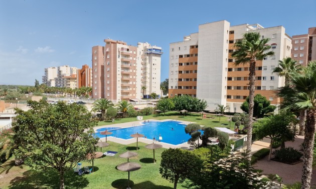Apartment - Resale - Guardamar Del Segura - CSPG-74447