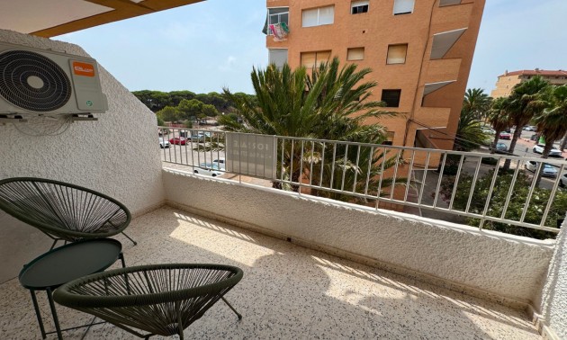Apartment - Resale - Guardamar Del Segura - Guardamar del Segura Centro