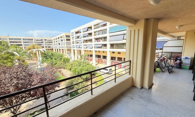 Apartment - Resale - Guardamar Del Segura - Guardamar del Segura Centro