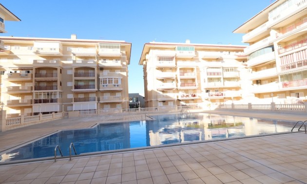 Apartment - Resale - La Mata - La Mata