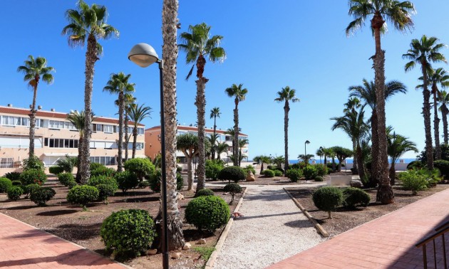 Apartment - Resale - Orihuela - Mil Palmeras