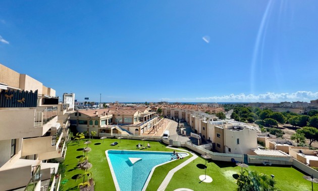 Apartment - Resale - Orihuela - Orihuela Centro
