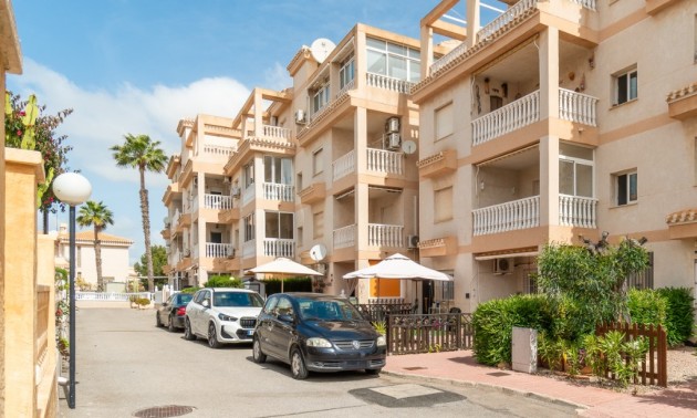 Apartment - Resale - Playa Flamenca - Playa Flamenca