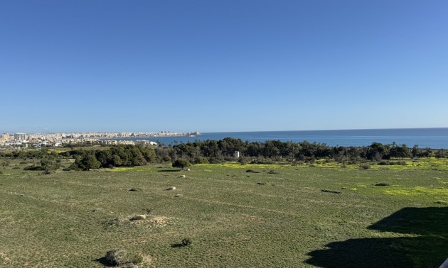 Apartment - Resale - Punta Prima - CSPD-62466