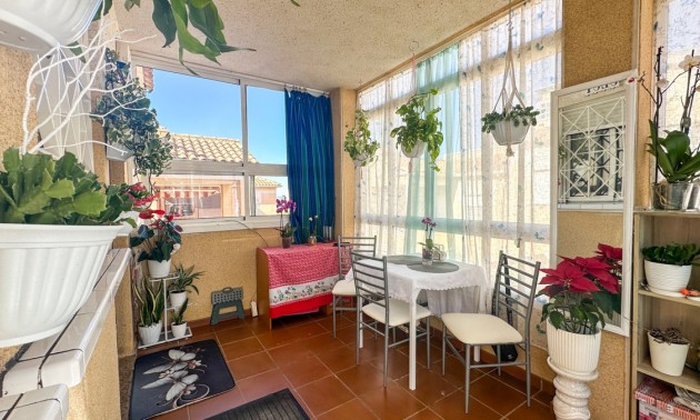 Apartment - Resale - Torrevieja - CSPX-15222