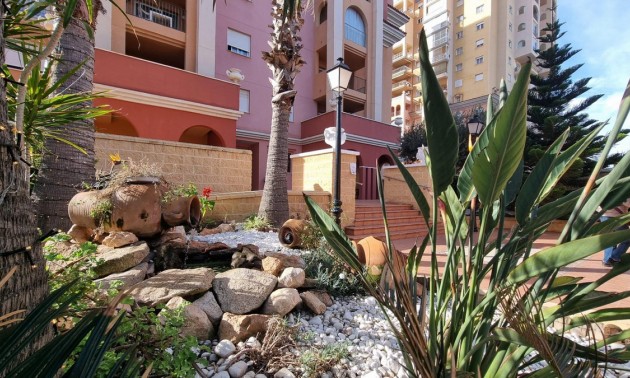 Apartment - Resale - Torrevieja - CSPX-94865