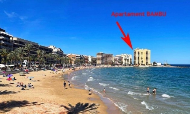 Apartment - Resale - Torrevieja - Torrevieja Centro