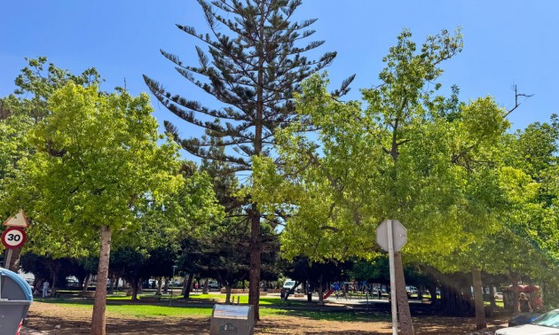 Apartment - Resale - Torrevieja - Torrevieja Centro