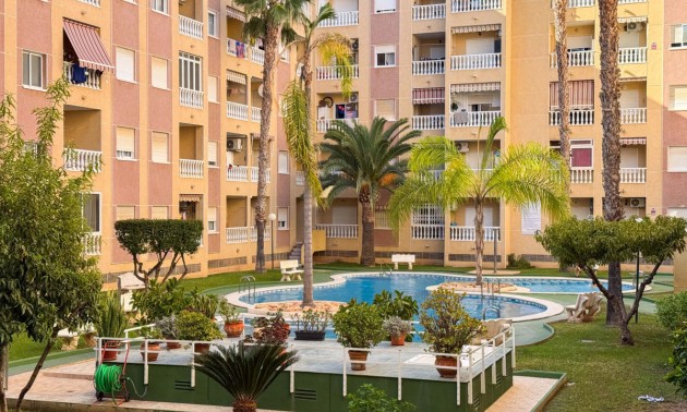 Apartment - Resale - Torrevieja - Torrevieja Centro