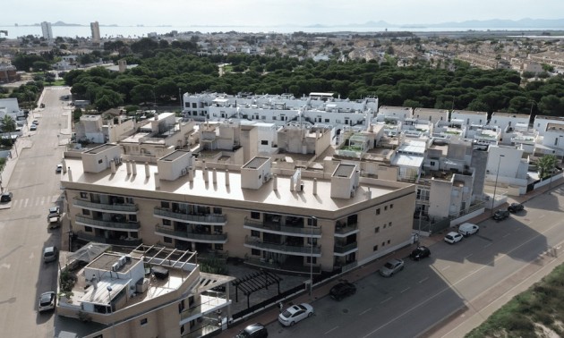 Apartment - Resale - Torrevieja - Torrevieja Centro