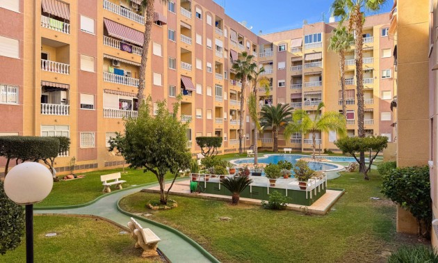 Apartment - Resale - Torrevieja - Torrevieja Centro