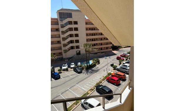 Apartment - Resale - Torrevieja - Torrevieja Centro