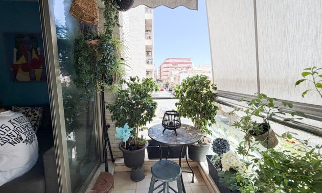 Apartment - Resale - Torrevieja - Torrevieja Centro